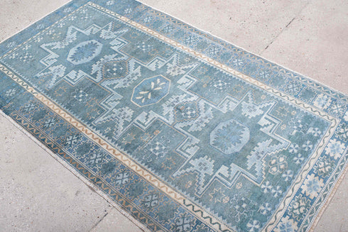 Antique Anatol Area Rug (3' x 6')